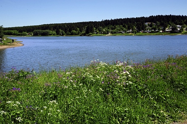 Pixhaier Teich (2) Buntenbock Oberharzer Wasserwirtschaft Bilder